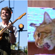 Mac DeMarco celebrates local cat with original song and music video